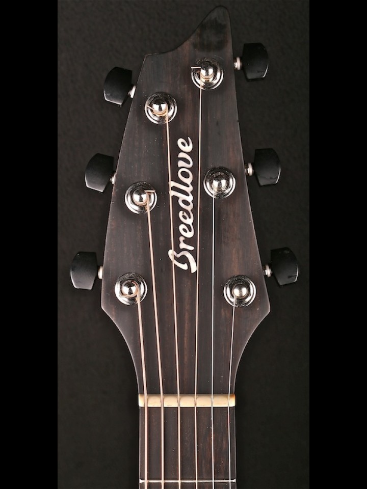 OREGON CONCERT MYRTLEWOOD