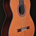 Classical with Cedar Top and Rosewood Back & Sides