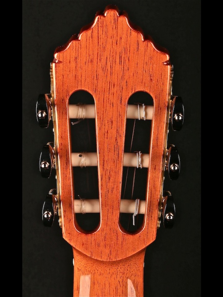 10 PREMIER WITH LATTICE BRACES