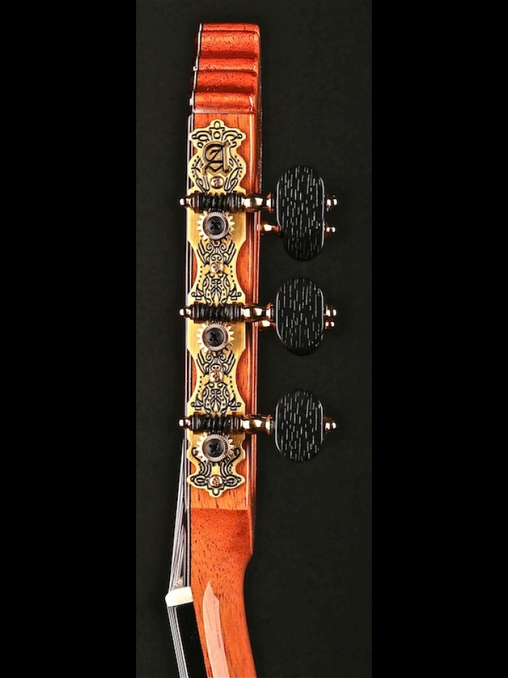 10 PREMIER WITH LATTICE BRACES