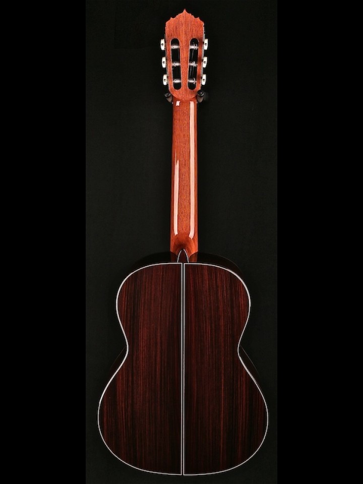 Classical with Solid Spruce and Solid Rosewood