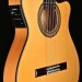 Thin-Line Cutaway Flamenco with Fishman ProBlend