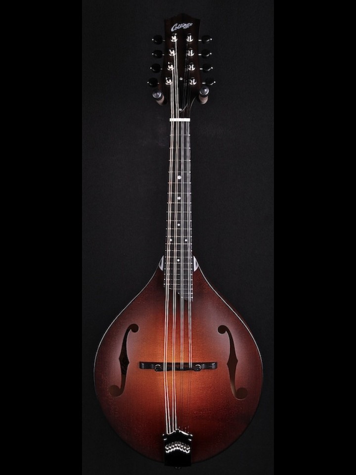 A-STYLE MANDOLIN WITH SUNBURST SATIN FINISH W/CASE