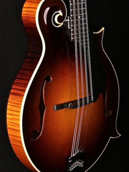 F-Style F-Hole with Gloss Sunburst Top