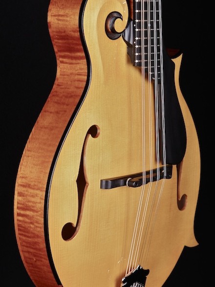 F-Style F-Hole with Gloss Honey Amber Finish