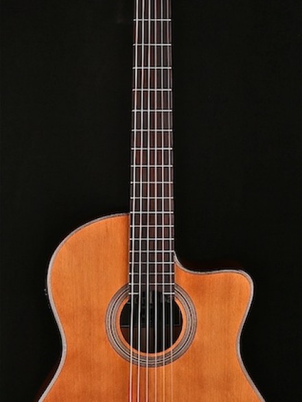 Fusion Series Hybrid Classical with Fishman Preamp