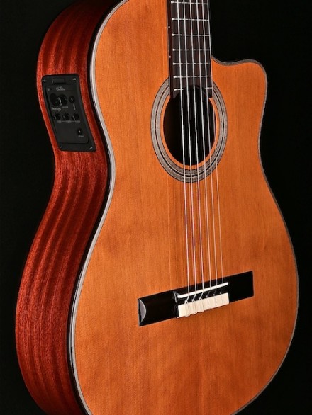 Fusion Series Hybrid Classical with Fishman Preamp