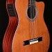 Fusion Series Hybrid Classical with Fishman Preamp