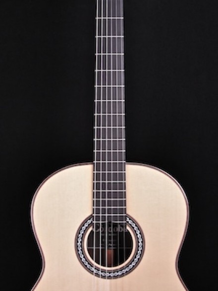 ALL SOLID SPR/ROSEWOOD HYBRID NYLON STRING W/POLYFOAM CASE
