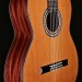 Luthier Series Crossover Nylon String