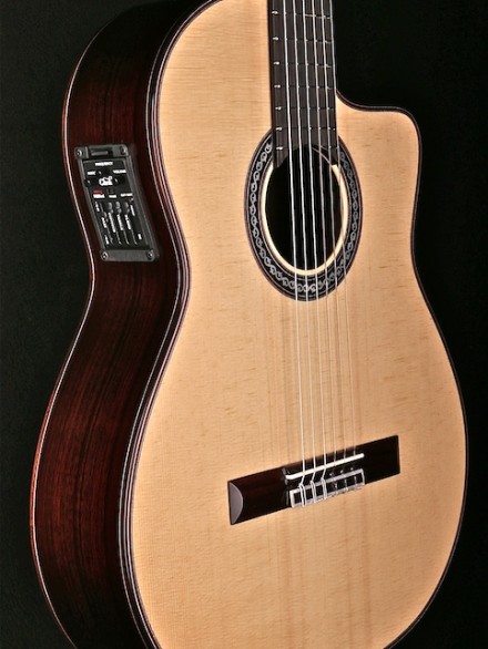 Flamenco Negra with Cutaway and Fishman Pro Blend