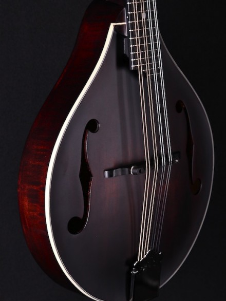 A-Style F-Hole in Natural Satin Finish