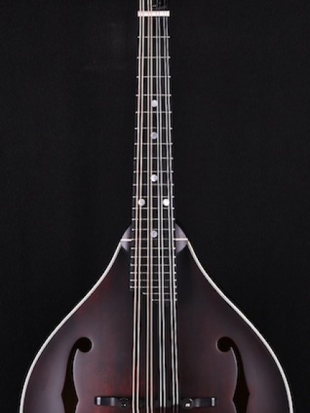 A-Style F-Hole in Natural Satin Finish