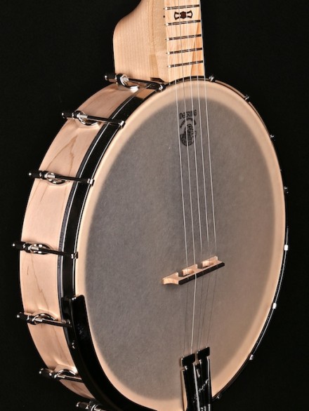 OPEN BACK BANJO W/12" RIM