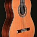 Player Series Classical with Spruce and Rosewood
