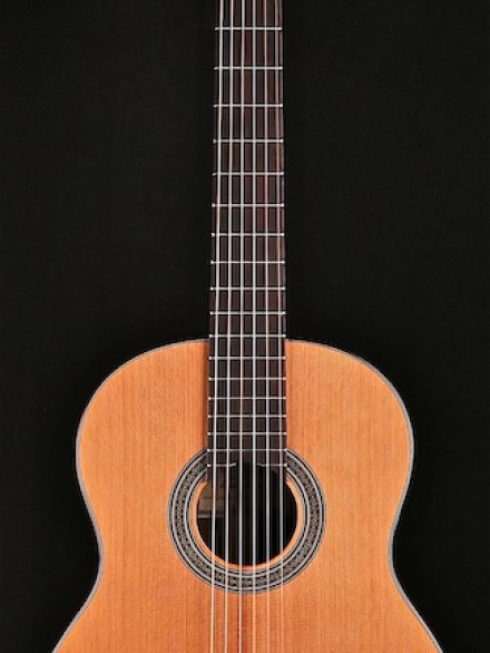Estudio Series Classical with Cedar and Rosewood