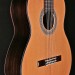 Estudio Series Classical with Cedar and Rosewood