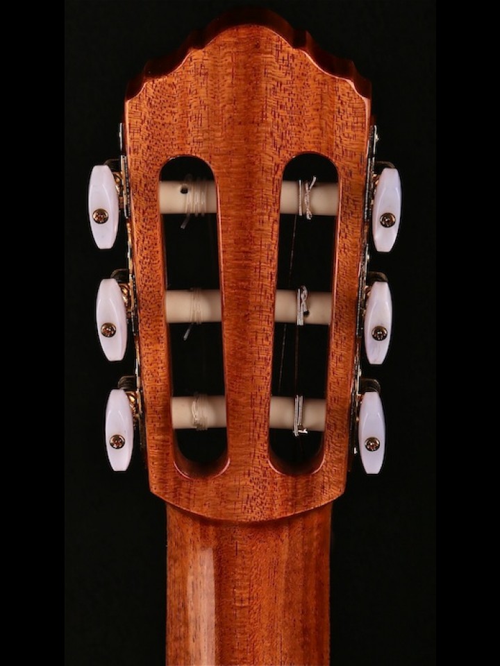 Player Series Classical with Cedar and Rosewood