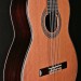 Player Series Classical with Elevated Fingerboard