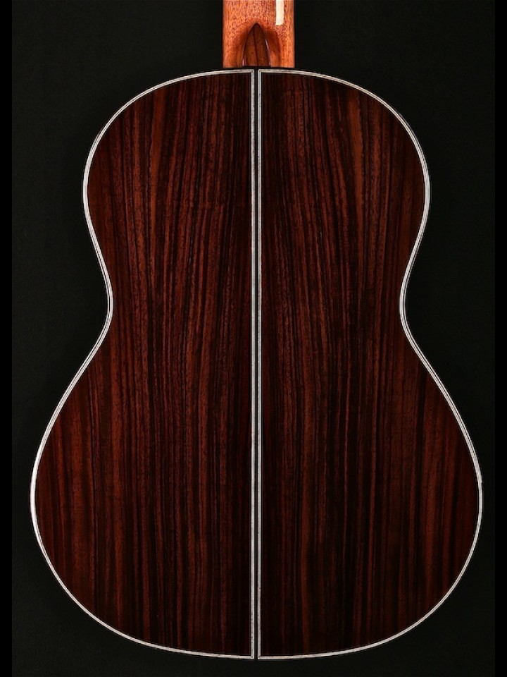 Player Series Classical with Elevated Fingerboard
