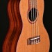Concert Uke with Cedar and Acaica and Gloss Finish