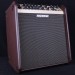 Loudbox Performer 180 Watt Acoustic Amplifer