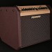 Loudbox Mini 60 Watt Acoustic Amp with Bluetooth