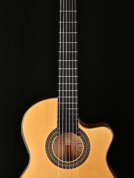 2018 FLAMENCO THINLINE CUTAWAY WITH HARD CASE