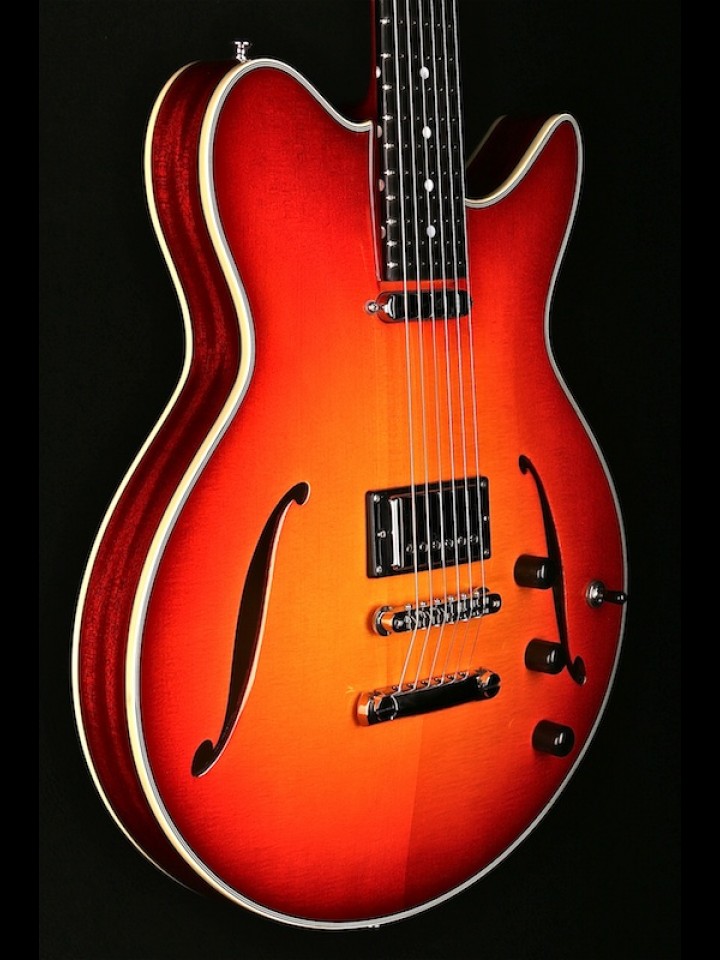 THINLINE HOLLOWBODY WITH SINGL E COIL NECK PICKUP