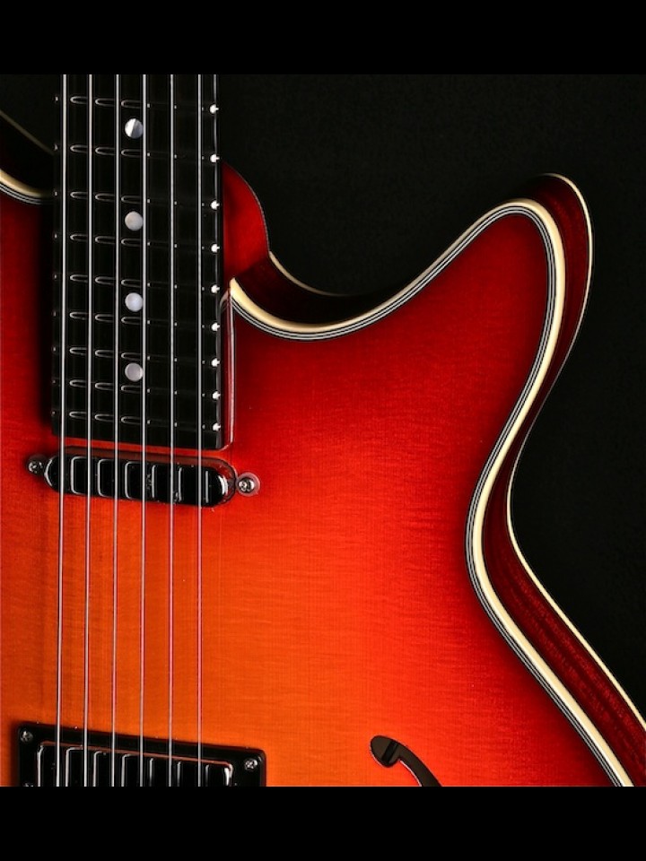 THINLINE HOLLOWBODY WITH SINGL E COIL NECK PICKUP