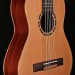 1/2 SIZE CEDAR TOP NYLON STRNG FAMILY SERIES W/GIG BAG