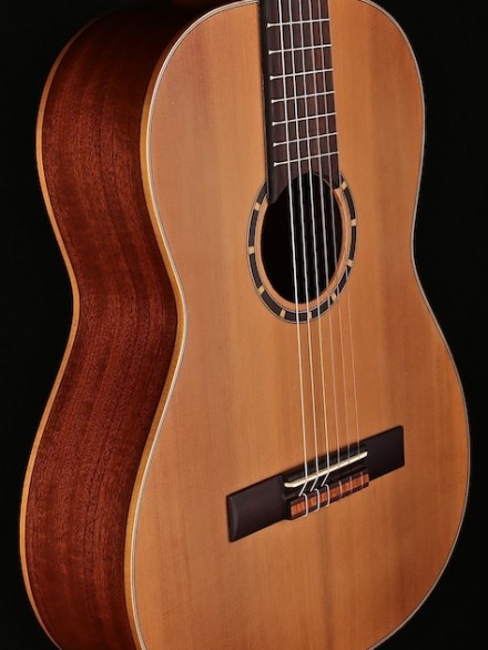 7/8 SIZE CEDAR TOP NYLON STRNG FAMILY SERIES W/GIG BAG