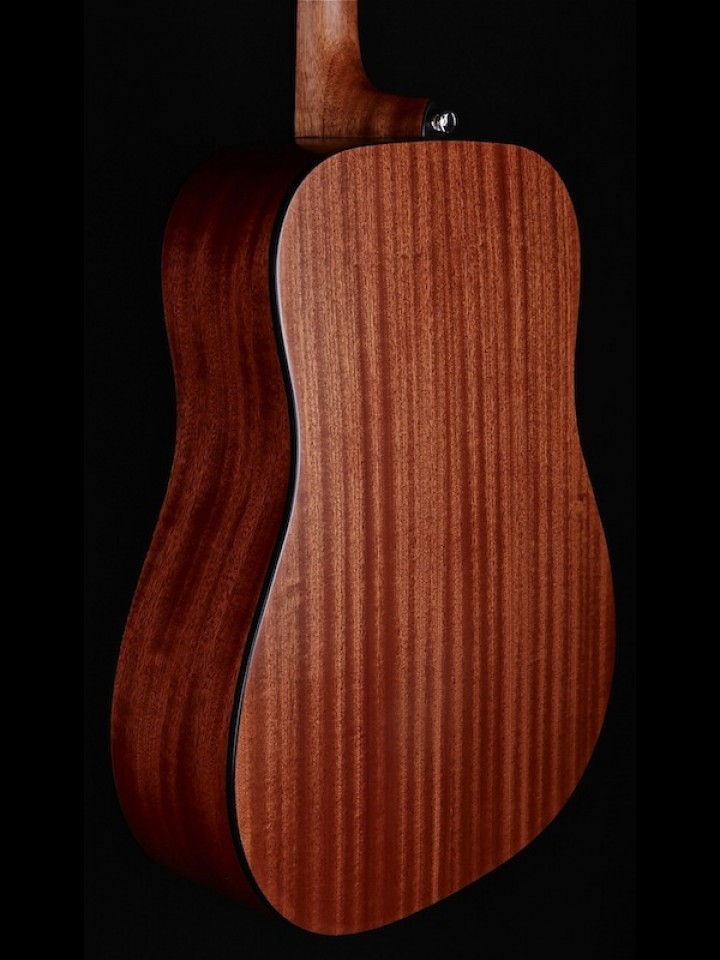 Artist Series Dreadnought with Shadowburst Finish