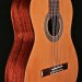 Artist Series Classical with Solid Cedar Top