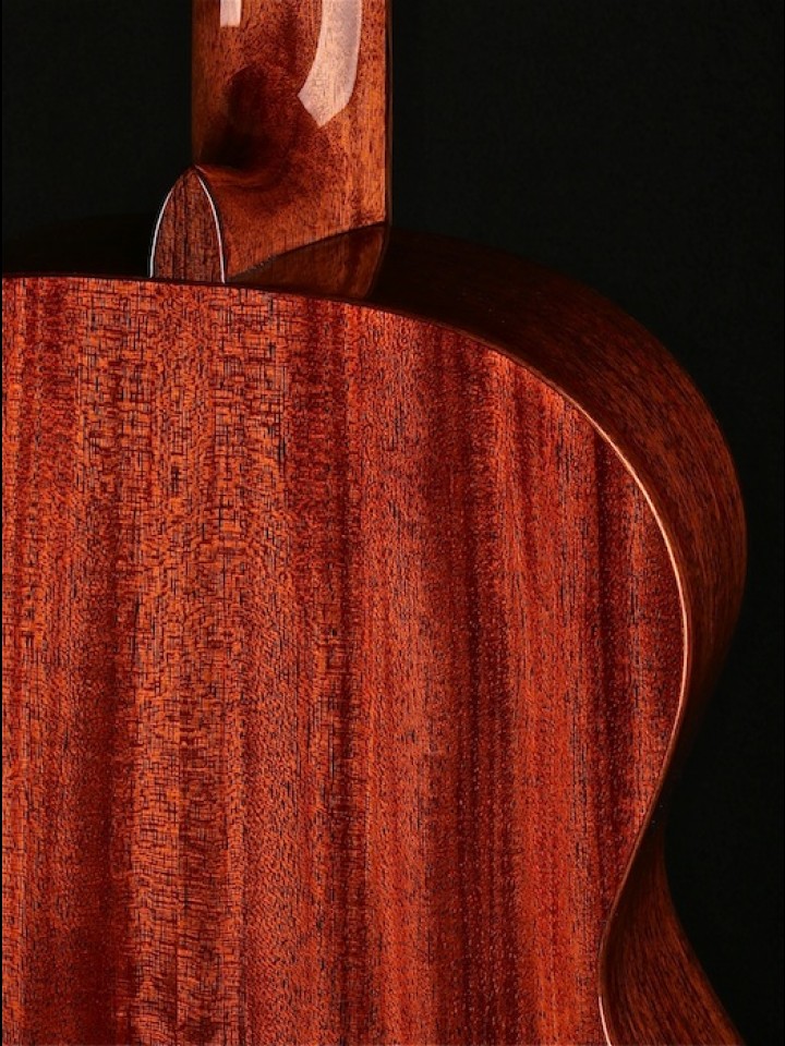 Artist Series Classical with Solid Cedar Top