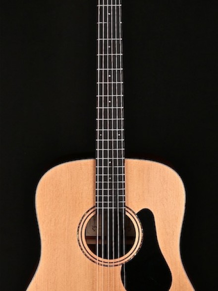 Artist Series Dreadnought with Solid Spruce Top