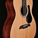 Artist Series Grand Concert with Solid Spruce Top