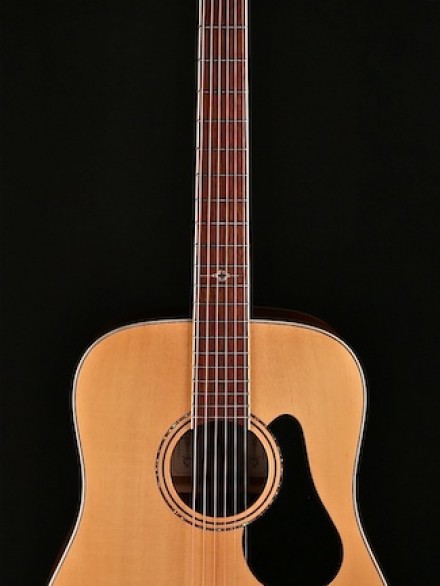 Artist Series Dreadnought with Solid Spruce Top