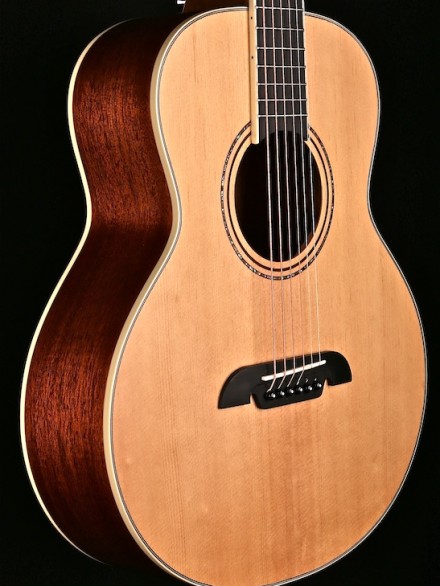 Artist Series Small Jumbo Travel Guitar