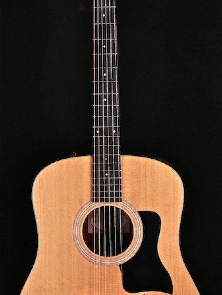Dreadnought with Solid Spruce Top and ES-2 Pickup