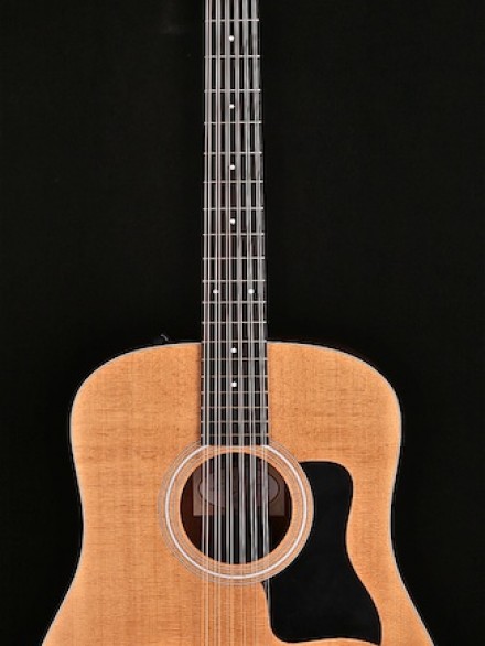 Dreadnought 12-String with Taylor ES-2 System