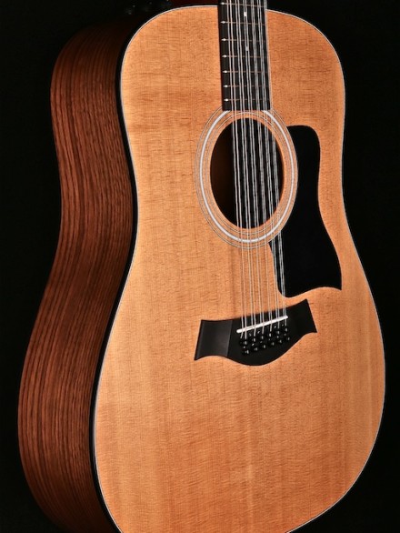 Dreadnought 12-String with Taylor ES-2 System