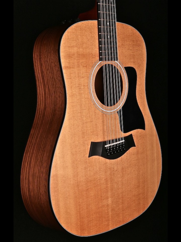 Dreadnought 12-String with Taylor ES-2 System