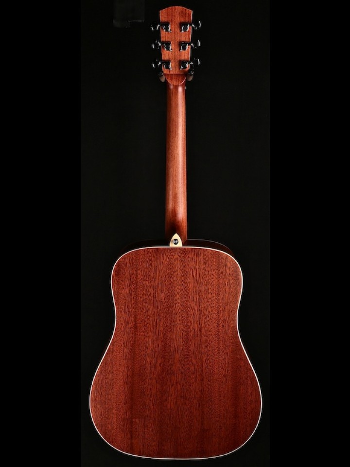 Regent Series Dreadnought with Mahogany and Spruce