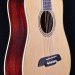 Regent Series Travel Sized Dreadnought