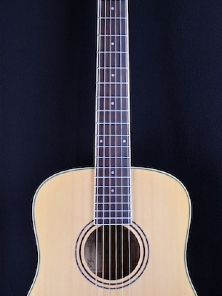 Regent Series Travel Sized Dreadnought