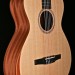 Academy Series Nylon String with Arm Bevel