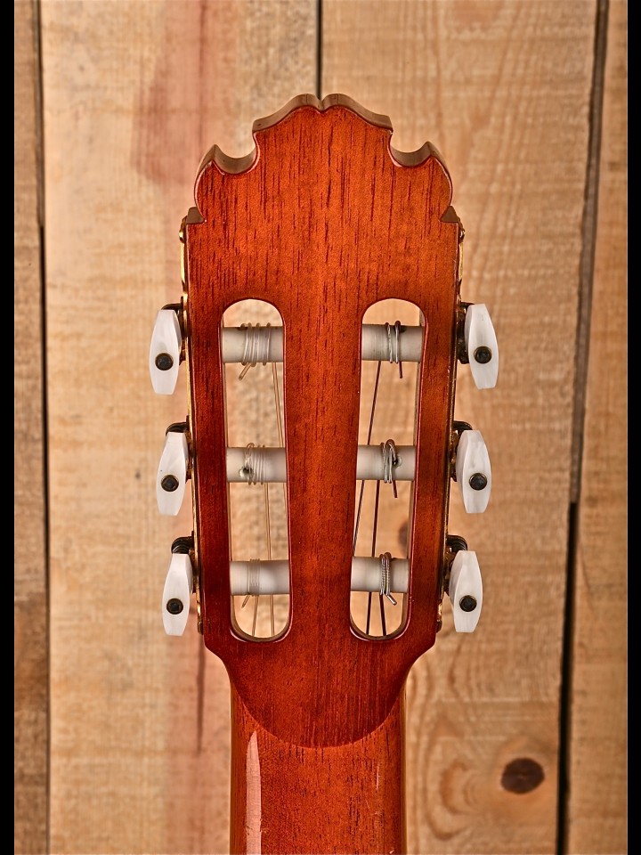 stromen Disciplinair Mevrouw Maple Street Guitars | Classical